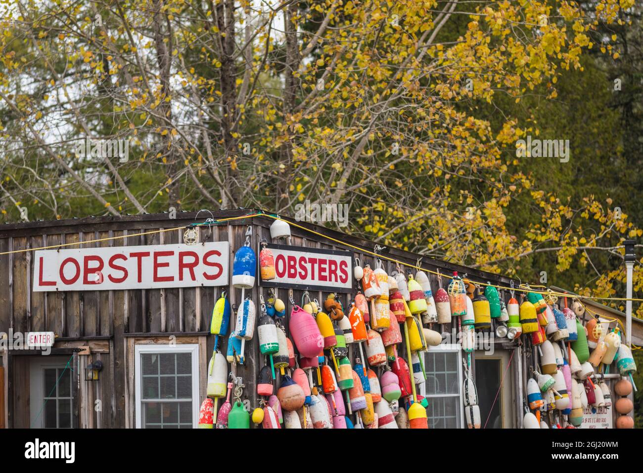 USA, Maine, Mt. Desert Island. Eden, traditional lobster shack seafood