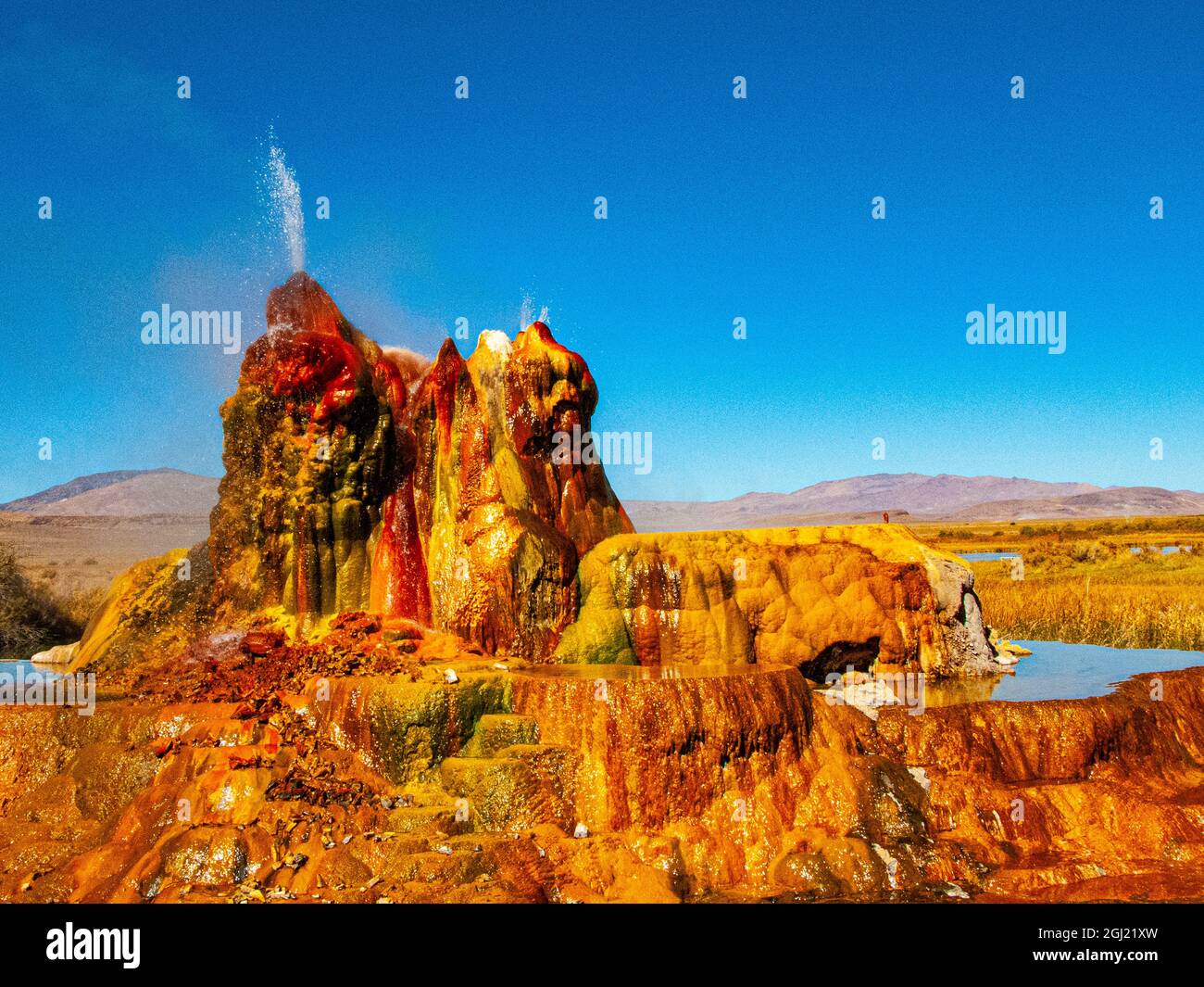 USA, Nevada, Black Rock Desert, Fly Geyser a rainbow of colors Stock Photo