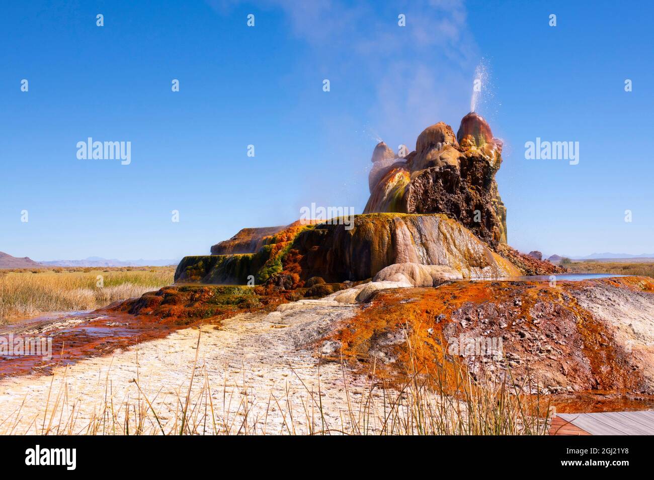 USA, Nevada, Black Rock Desert, Fly Geyser a rainbow of colors Stock Photo