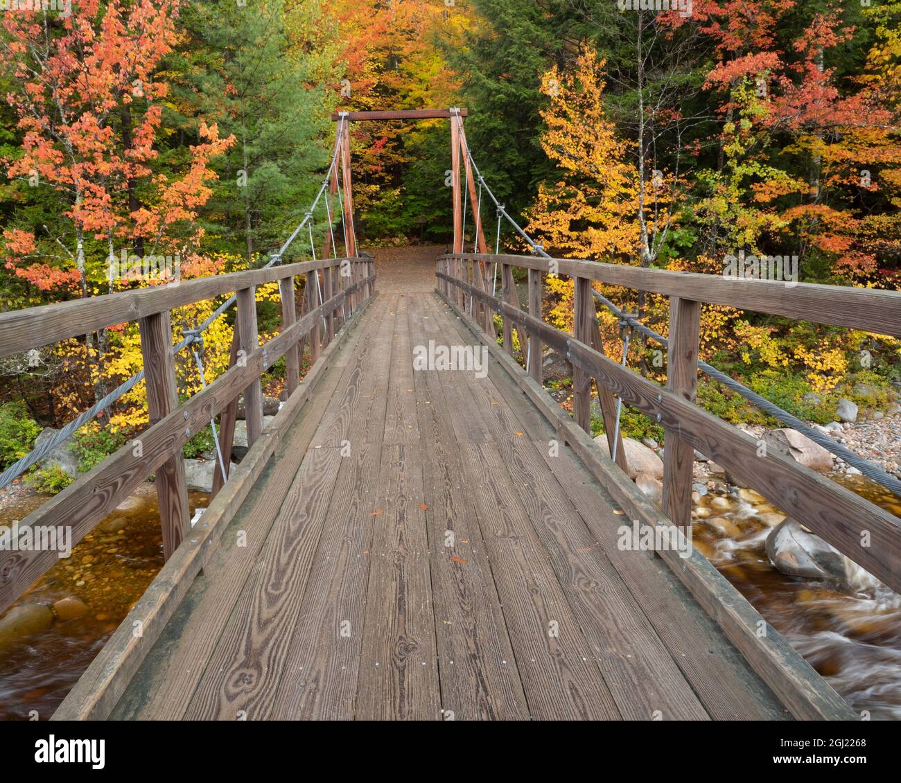 Usa, New Hampshire, Lincoln. White Mountain National Forest, Lincoln ...