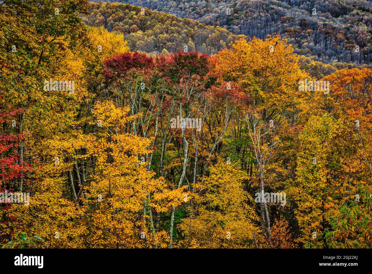 Blueridge Parkway, North Carolina Stock Photo - Alamy