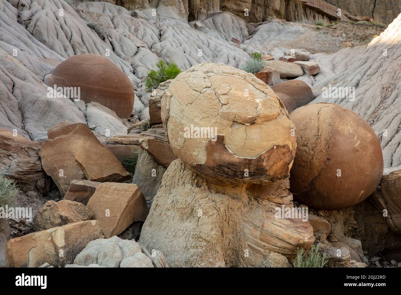 Cannonball concretions in Theodore Roosevelt National Park, North Dakota, USA. Stock Photo