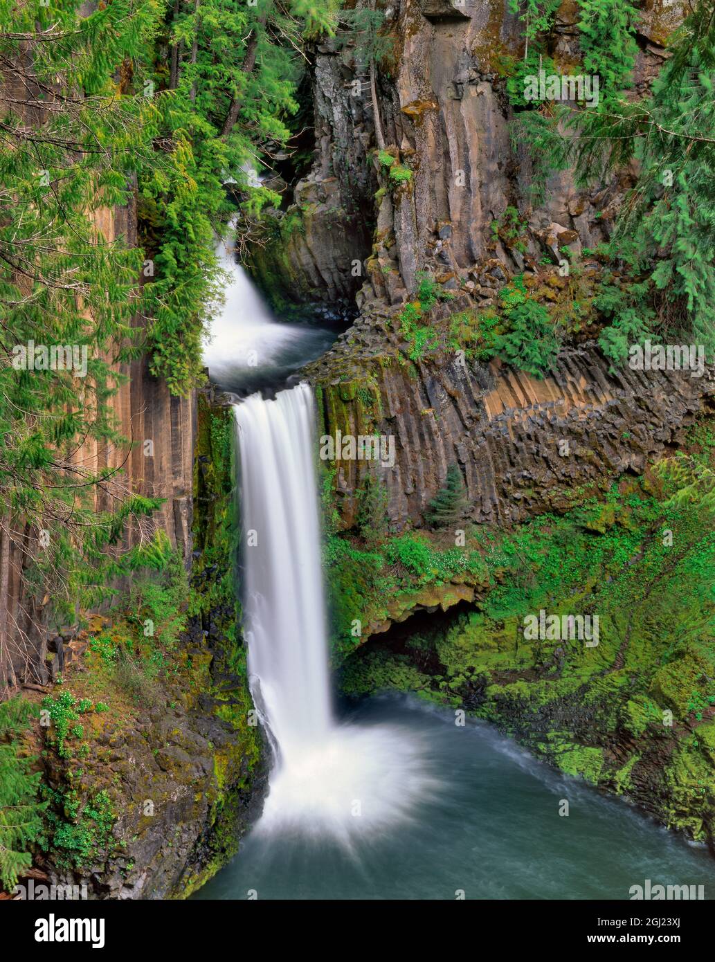 USA, Oregon, Umpqua National Forest. Toketee Falls landscape. Stock Photo