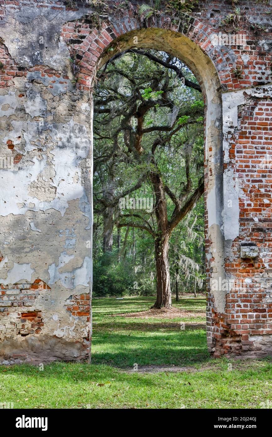 United States, South Carolina, Yemassee, Old Sheldon Church Ruins Stock