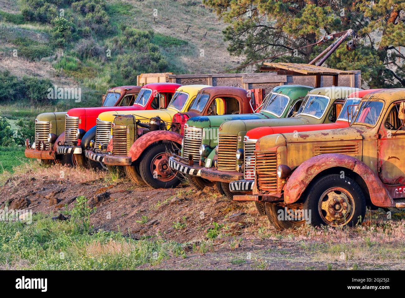 USA, Washington State, Palouse. Antique trucks Stock Photo Alamy