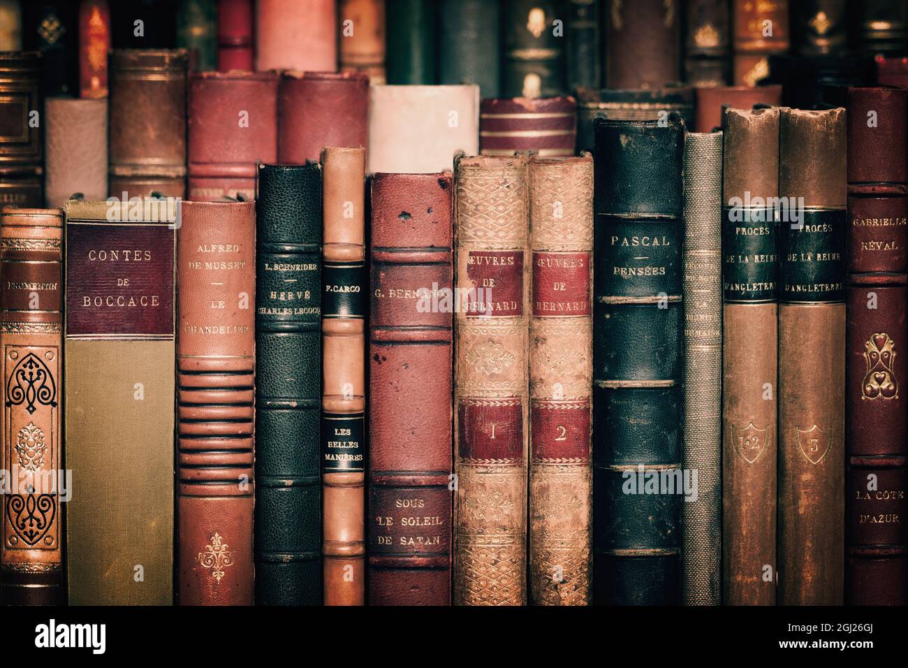 Close up of antique leather books on a bookshelf Stock Photo