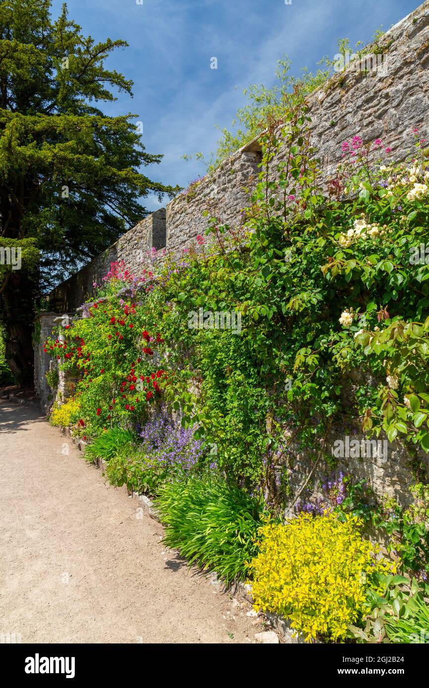 Colourful herbaceous borders in the walled garden of the Bishop's ...