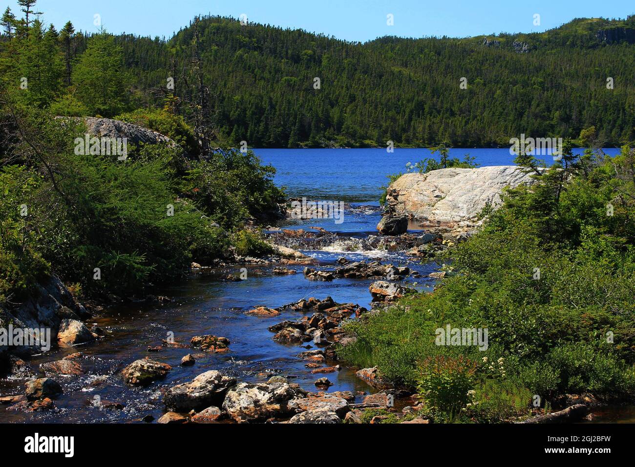 A small river running out of a pond enclosed by tree covered hills, New Bonaventure, Newfoundland Labrador. Stock Photo