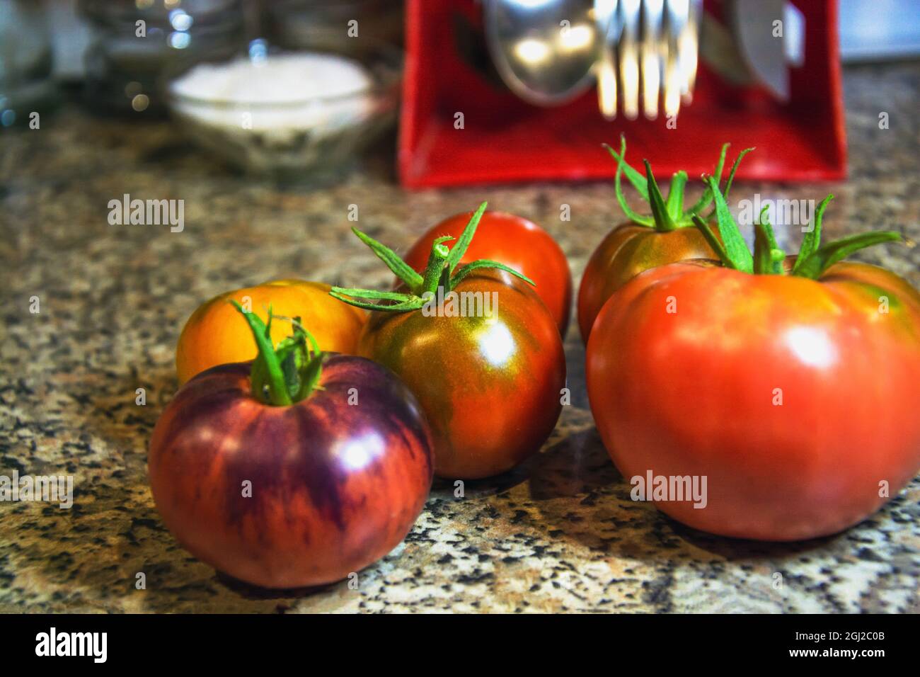 Red whole round fresh tomatoes with green tails lie on a marble kitchen countertop. In the background, salt and cooking utensils. horizontal photo. High quality photo Stock Photo