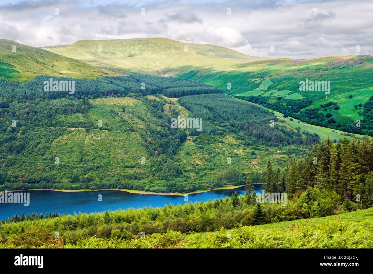 View of Waun Rydd over the Talybont Valley from Bwlch y Waun in the Brecon Beacons National Park in August Stock Photo