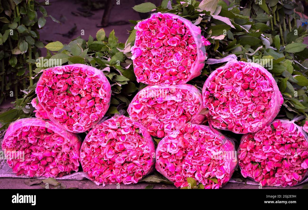 Various rose flower in flower shop Stock Photo Alamy