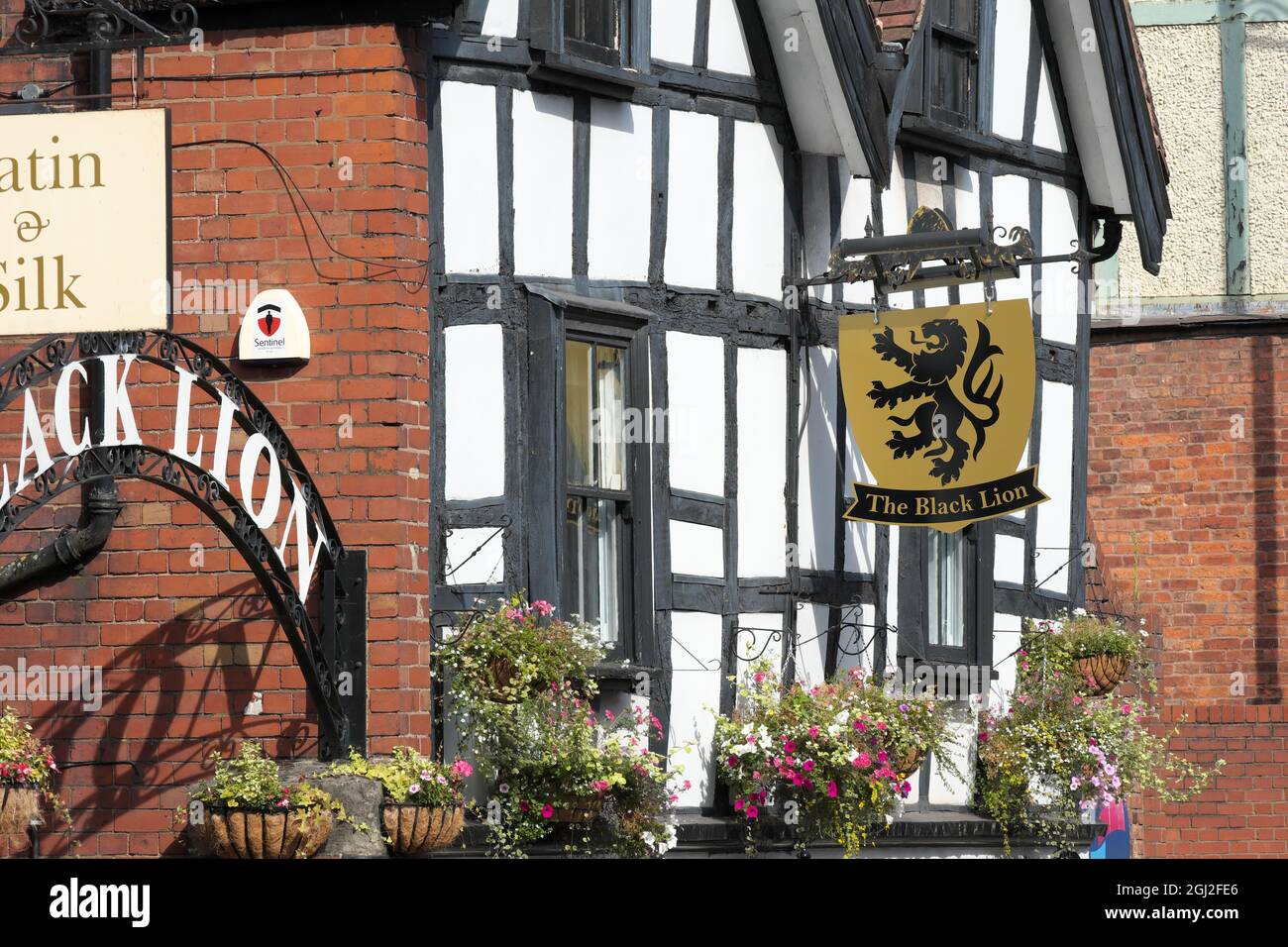 Hereford, UK The Black Lion inn an old 16th century pub timber frame tavern Stock Photo Alamy