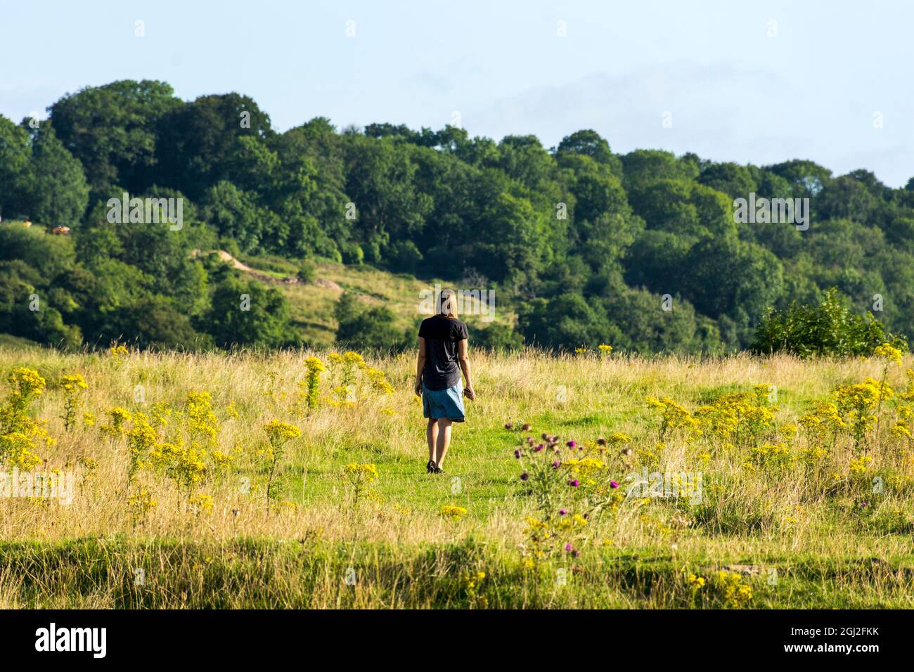 Woman walks alone in meadow in rural England, UK Stock Photo