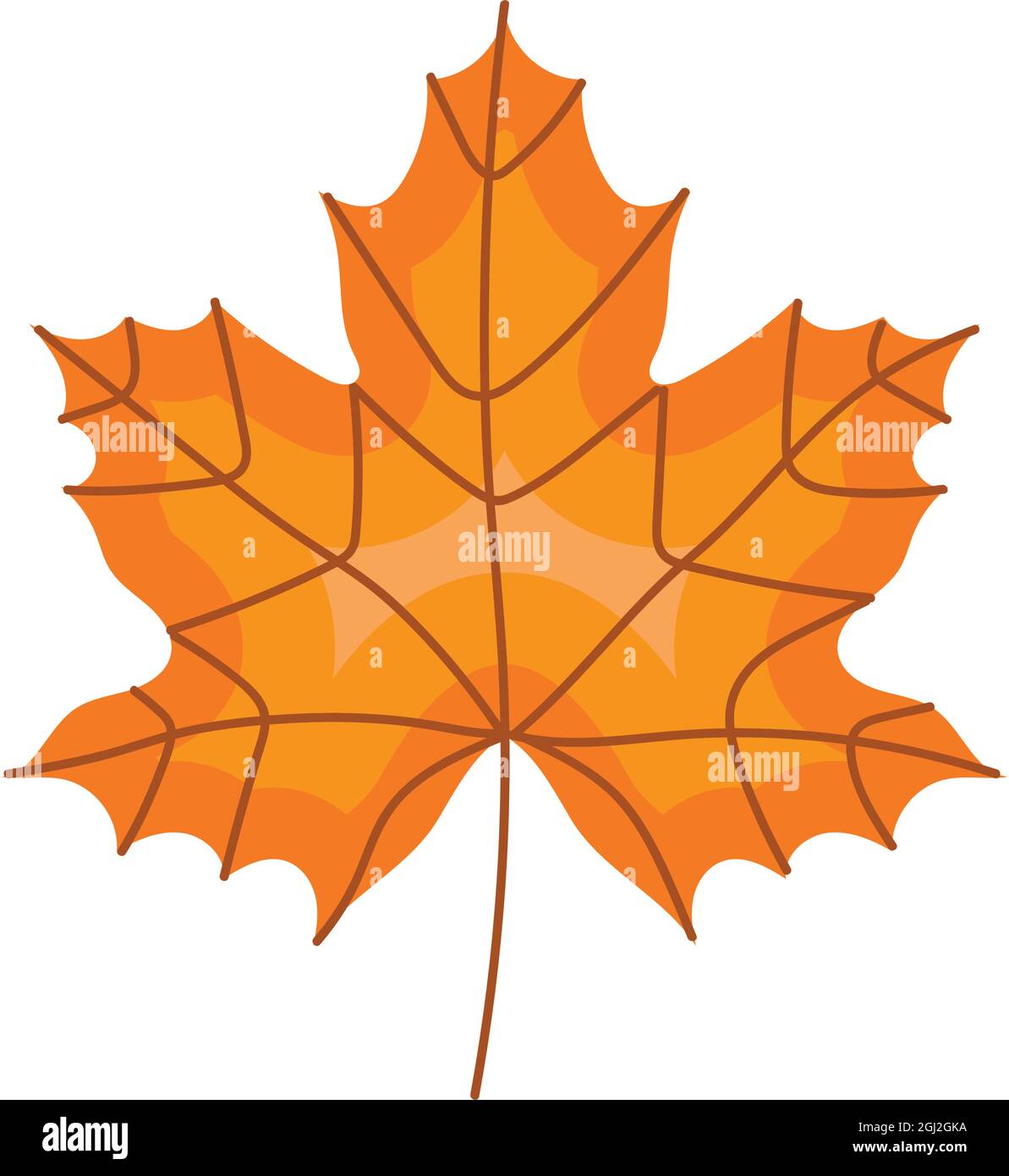 autumn maple leave seasonal icon Stock Vector Image & Art - Alamy