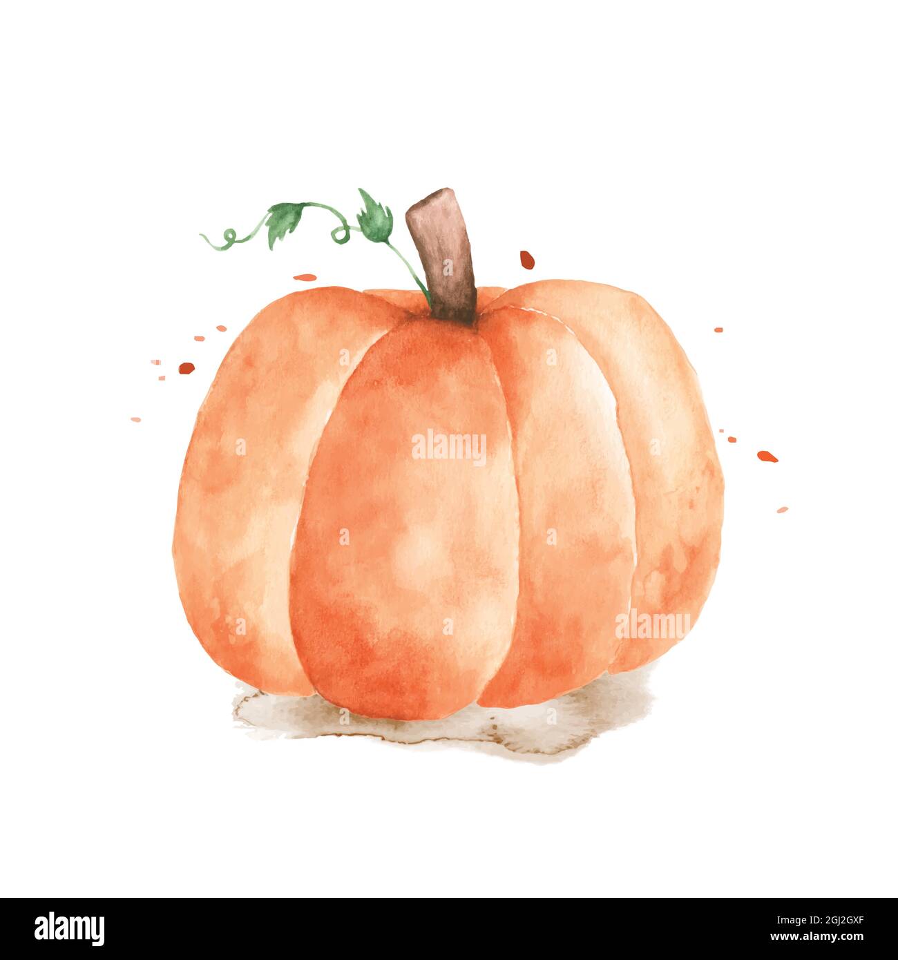 Watercolor pumpkin illustration. Orange pumpkin with hand-painted isolated on white background. Perfect for design decorative in the autumn festival, Stock Vector