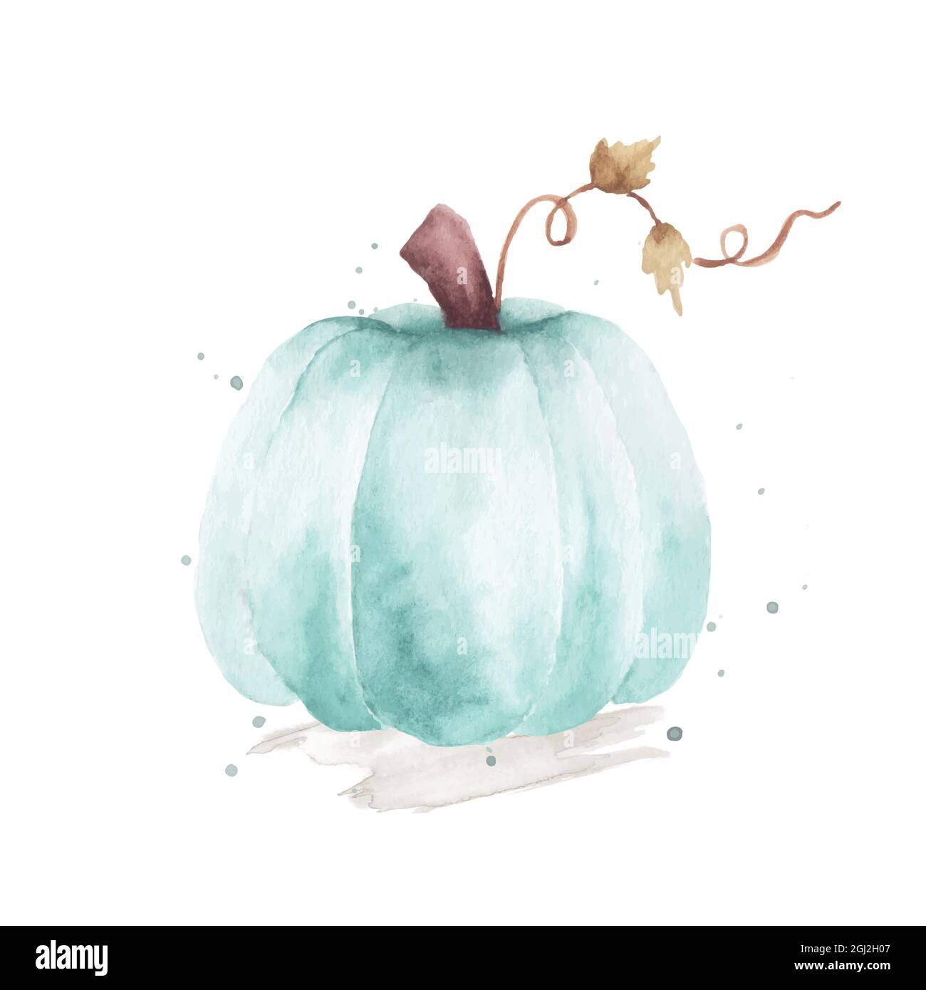 Watercolor pumpkin illustration. Orange pumpkin with hand-painted isolated on white background. Perfect for design decorative in the autumn festival, Stock Vector