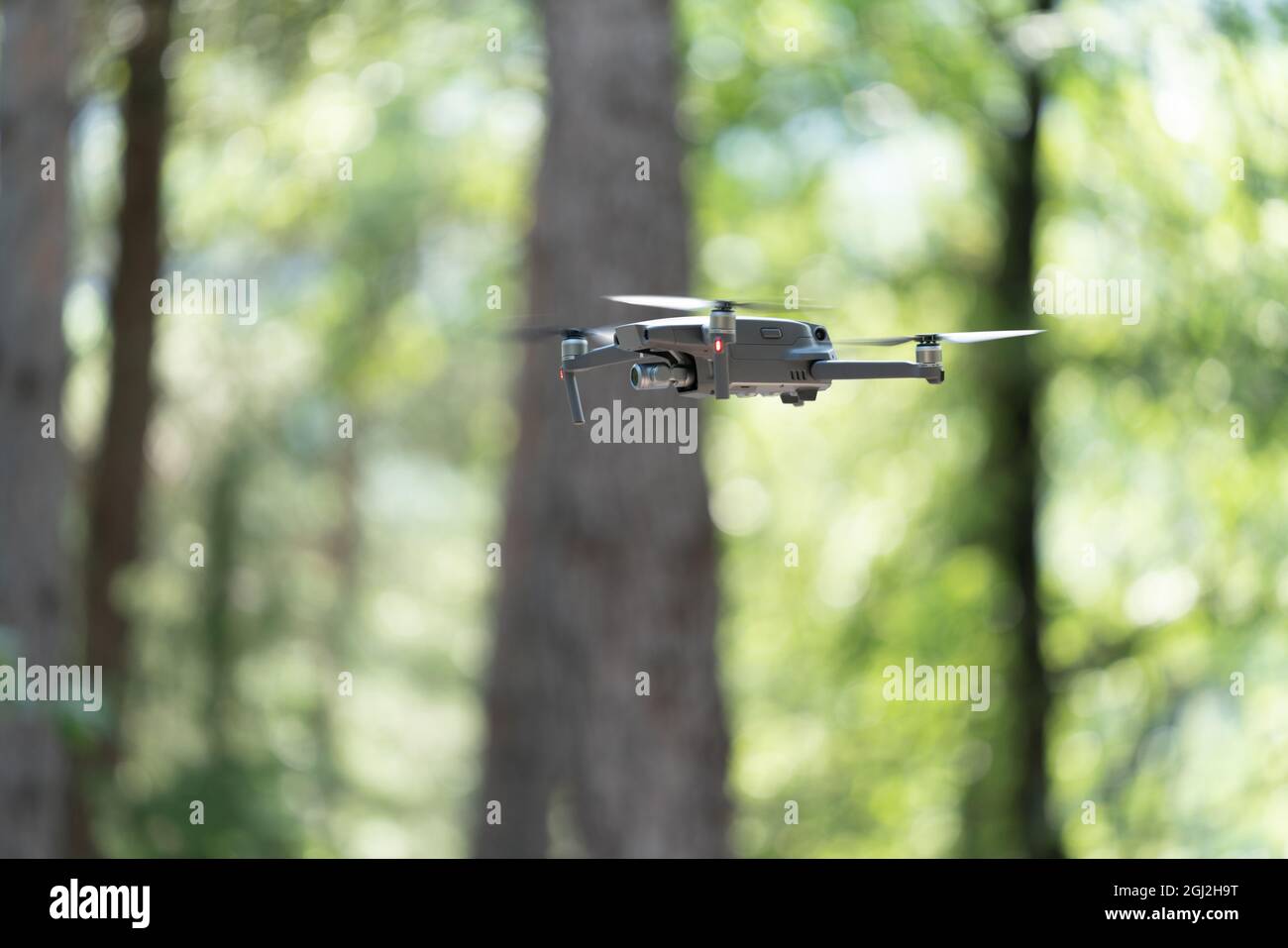 Dron flying between the trees in the woods Stock Photo