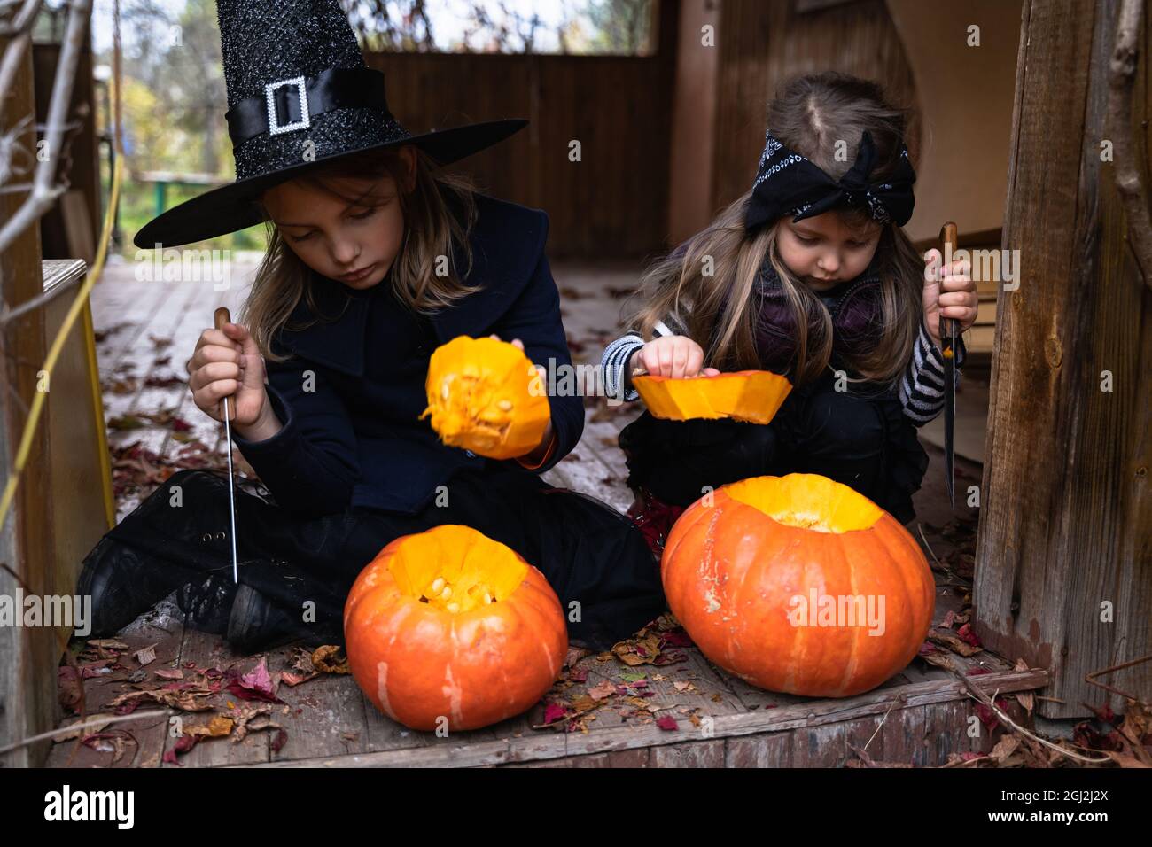 Little girls make jack-o-lantern from big pumpkins for celebratiion of  halloween holiday.Witch costume, hat, coat. Cut with knife,take out pulp  with s Stock Photo - Alamy