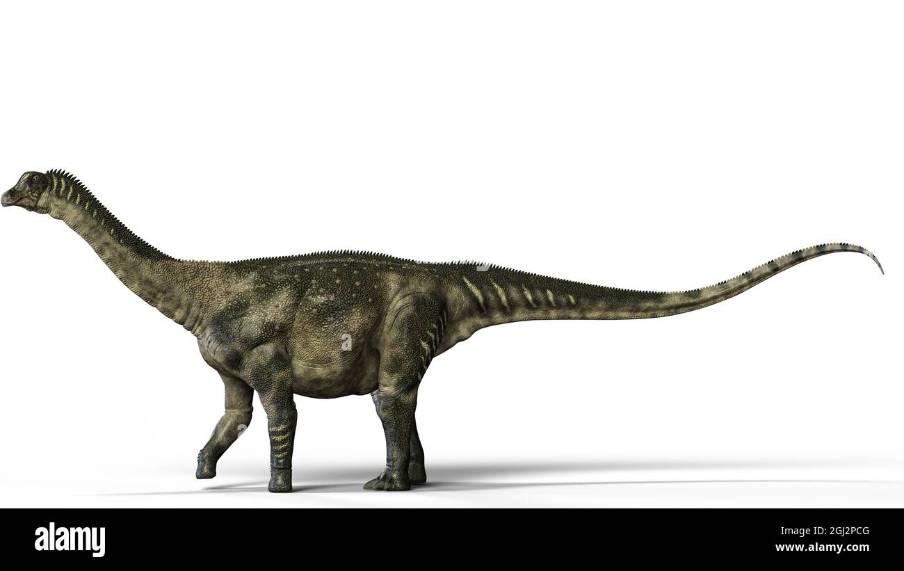 Antarctosaurus giganteus 3D illustration Stock Photo
