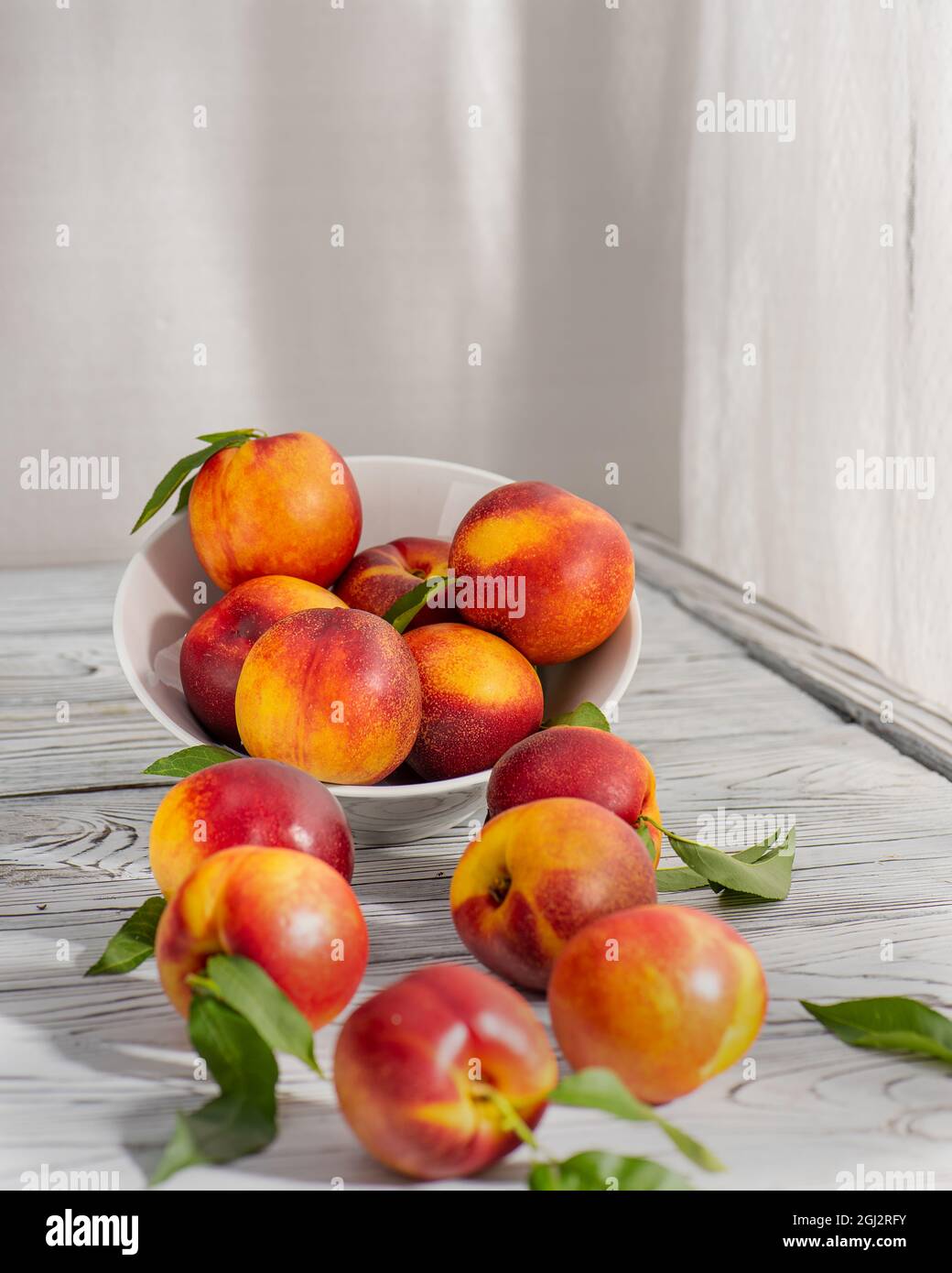 Self pollinated variety hires stock photography and images Alamy