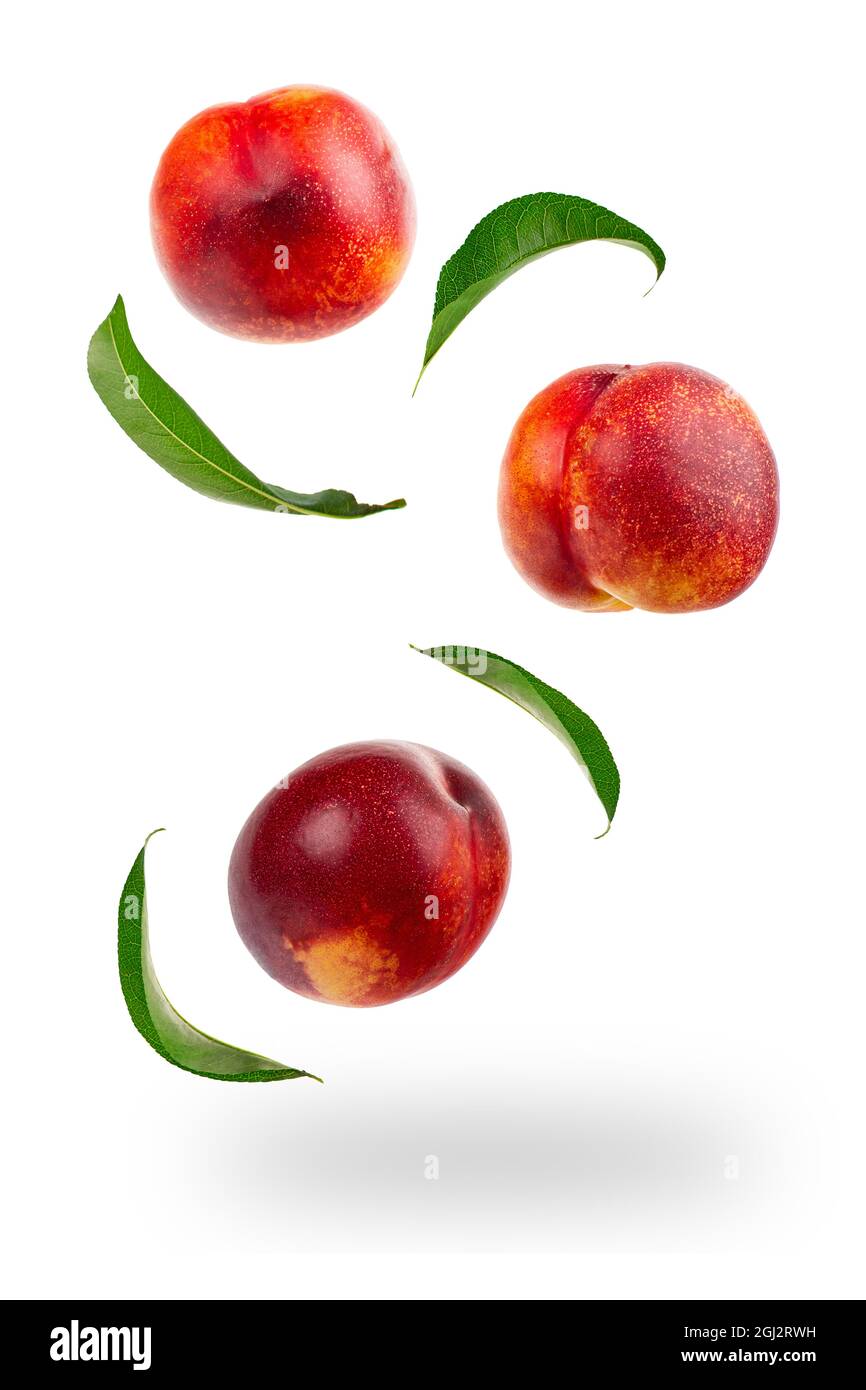 Falling Nectarine or peach isolated on white background Stock Photo