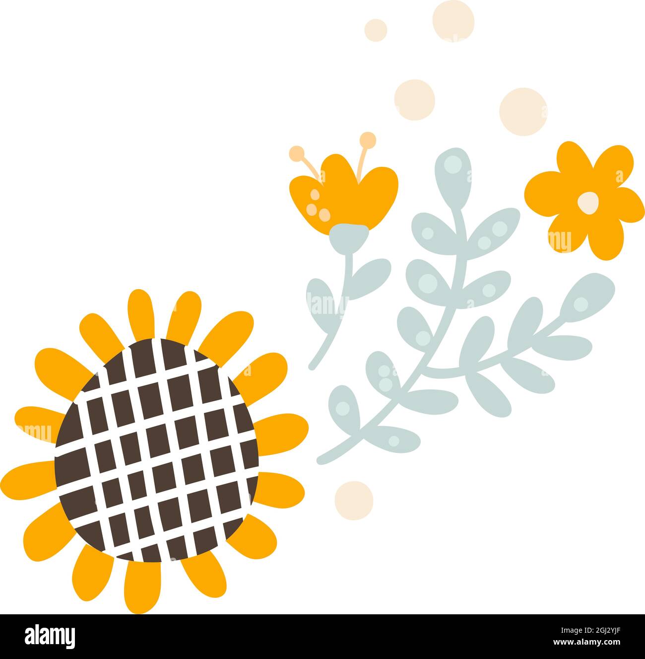 Baby Vector Floral summer divider banner, Pastel kids color sunflower and  wildflowers. Scandinavian style hand drawn divider shape. Isolated Stock  Vector Image & Art - Alamy