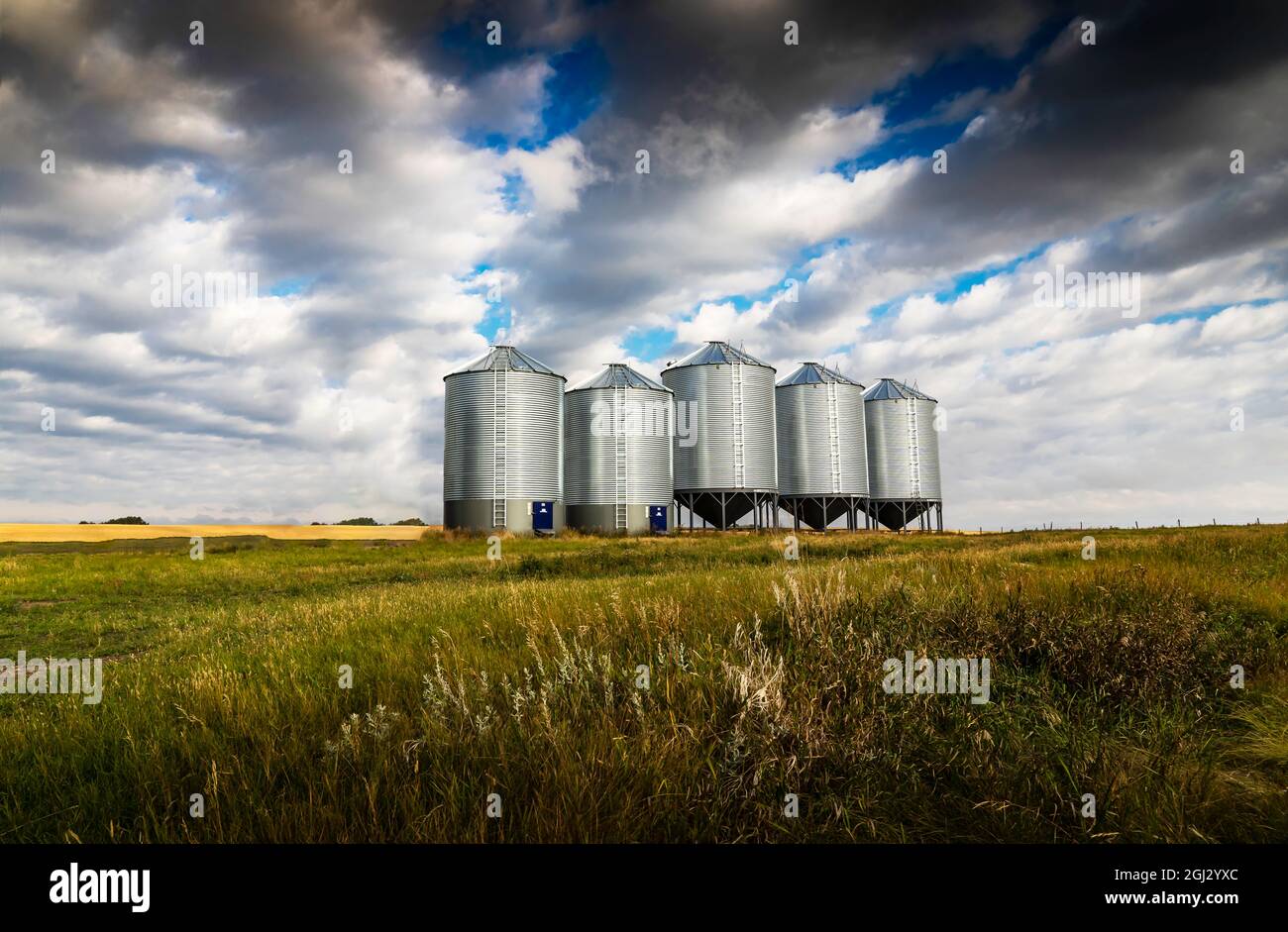 Grain silos standing tall on a harvested wheat field under a dramatic