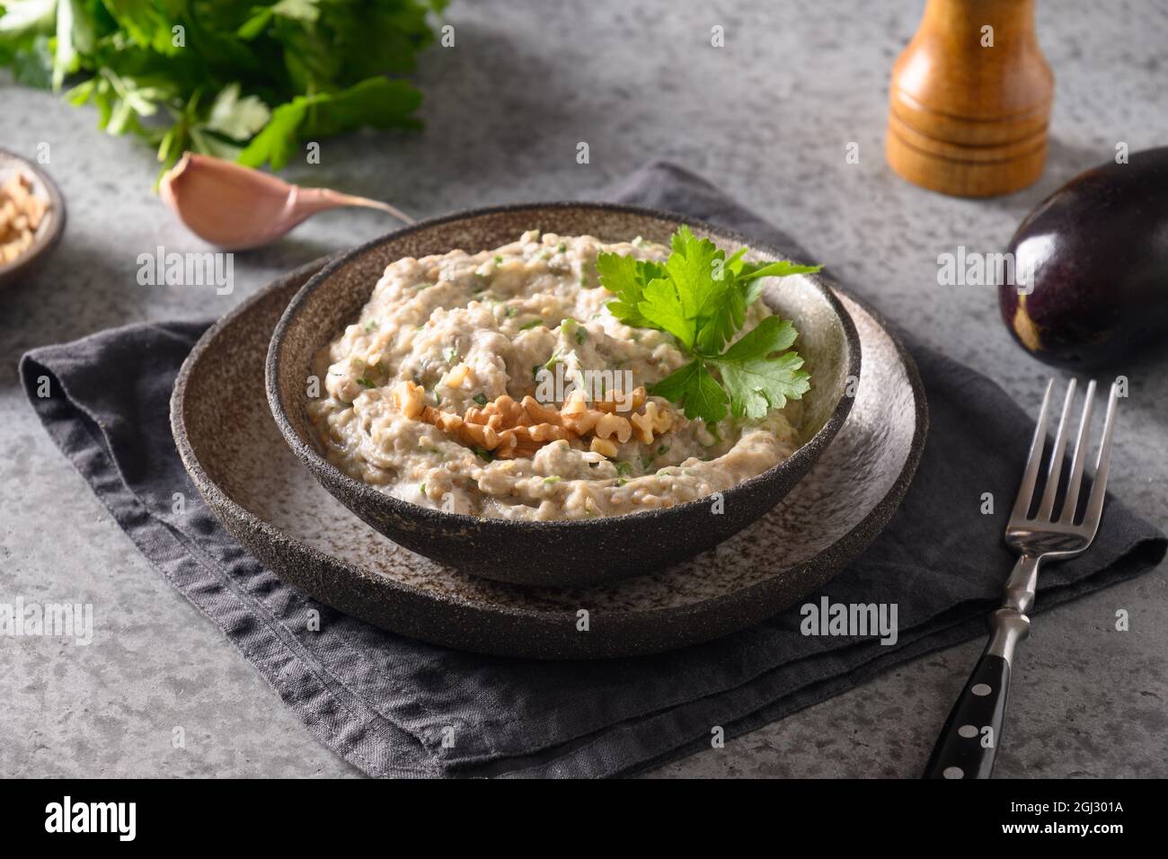 Baba ganoush Levantine cuisine appetizer made from baked eggplant with parsley, garlic and olive oil. Close up. Stock Photo