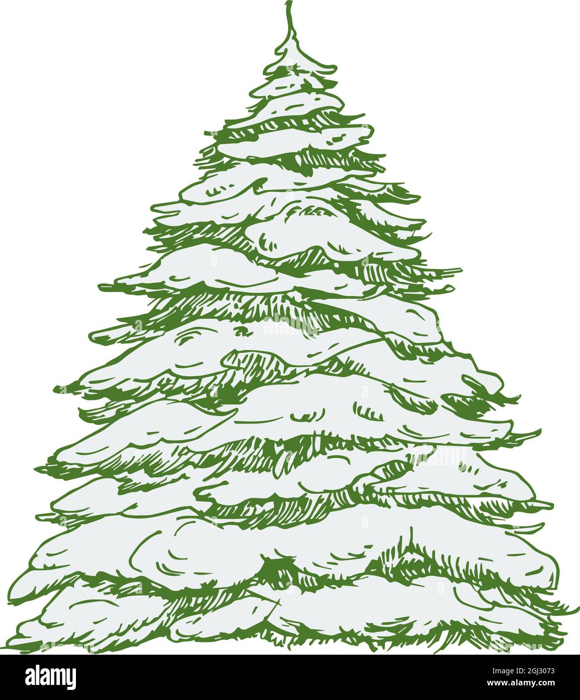 Drawing A Real Christmas Tree Step by Step Drawing Guide by Dawn   DragoArt