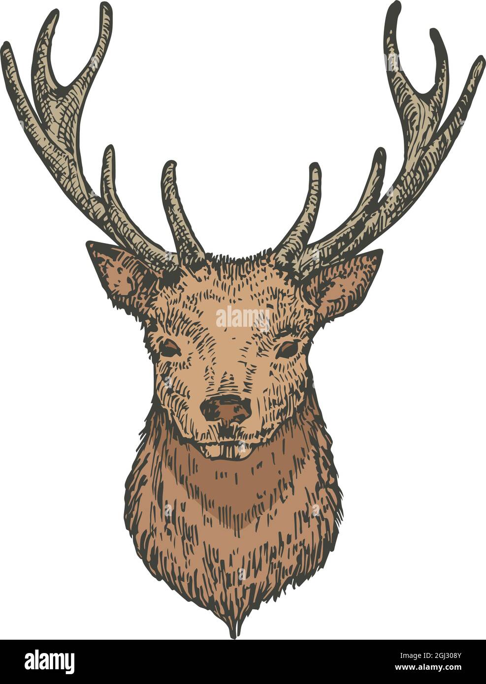 Deer Face Sketch Embroidery Design - Joy Kate Designs