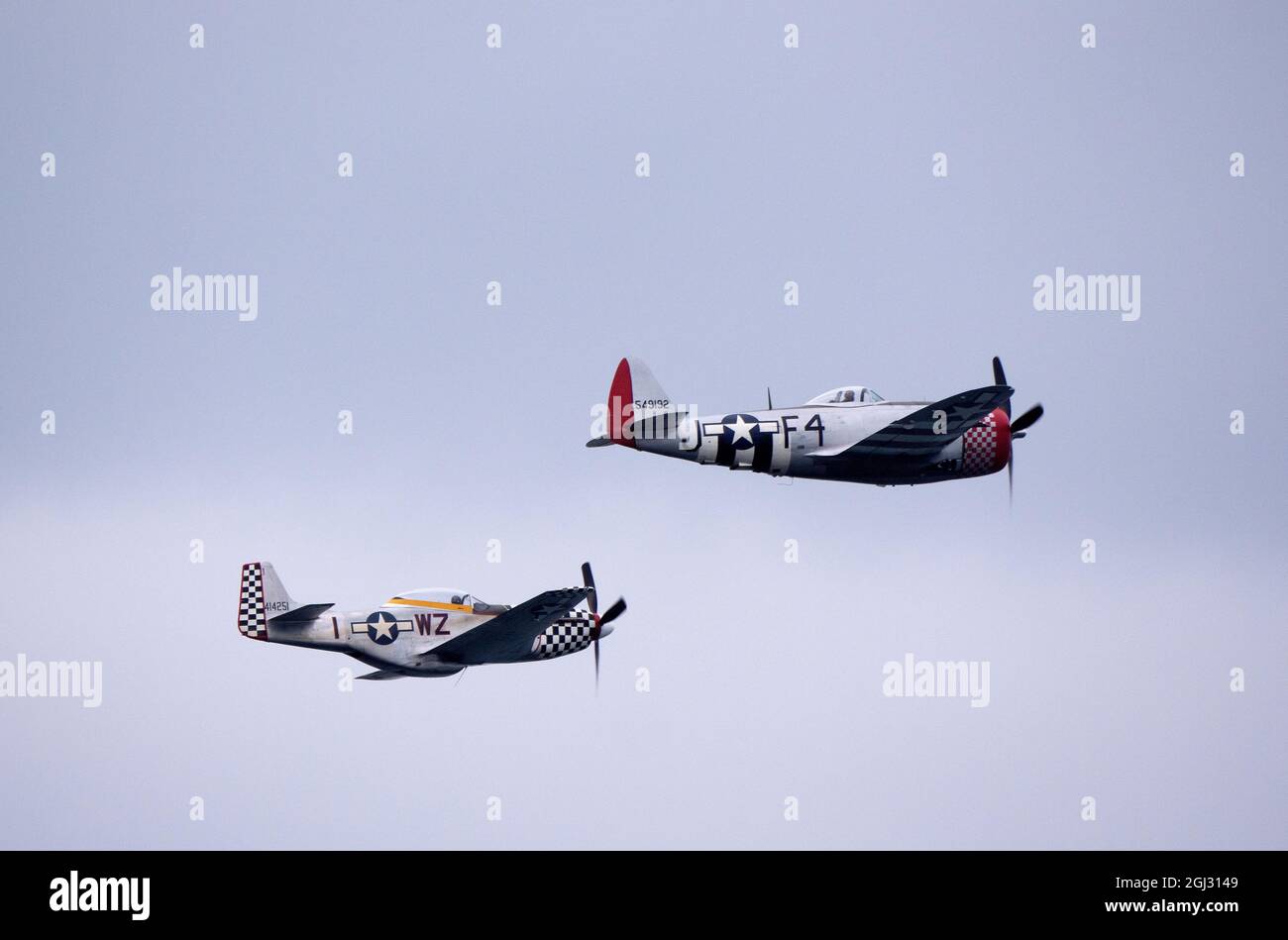 F-51D Mustang and P47D Thunderbolt in close formation flight Stock Photo