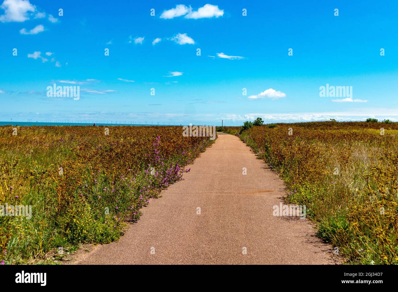 Hidden camera footage hires stock photography and images Alamy