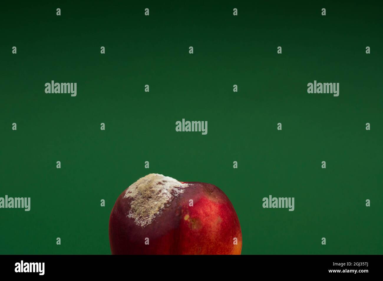 Half a rotten peach on a green background Stock Photo