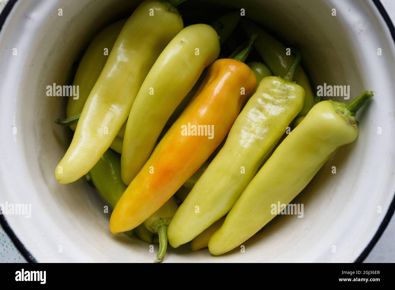 Fresh white bitter peppers in the pot, close-up Stock Photo