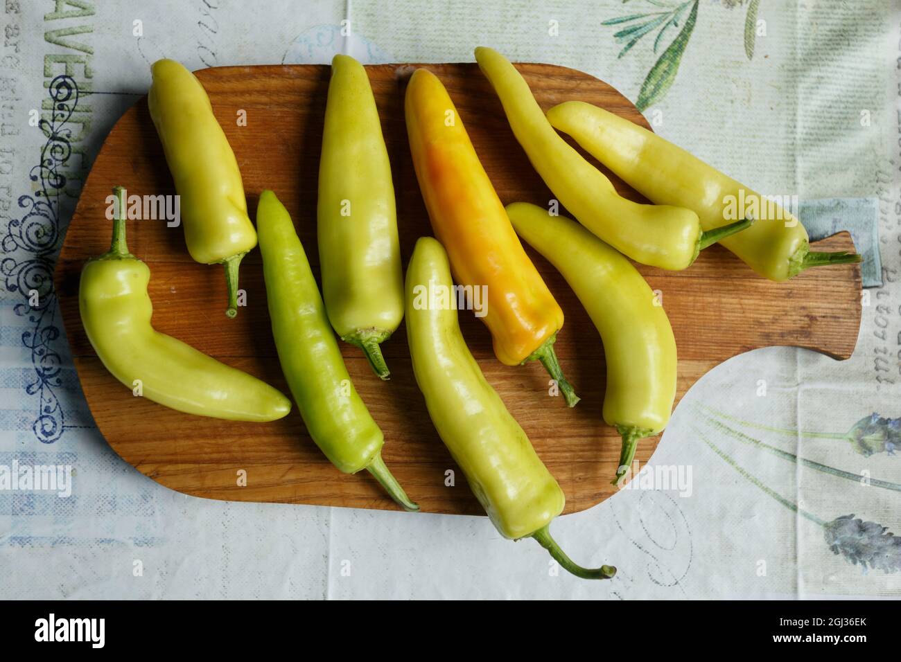 White bitter peppers on a cutting board on the kitchen table Stock Photo