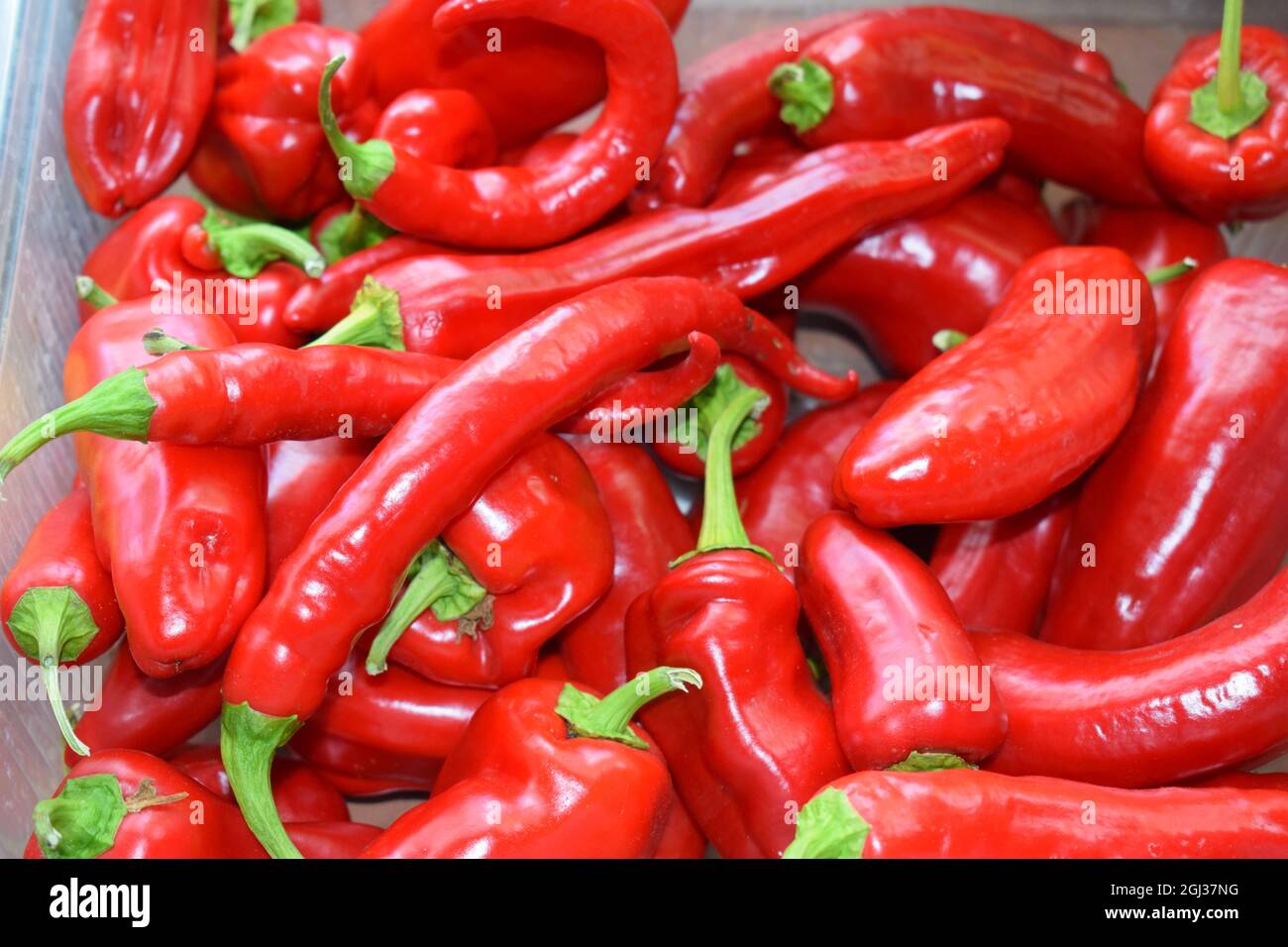 red hot paprika Stock Photo Alamy