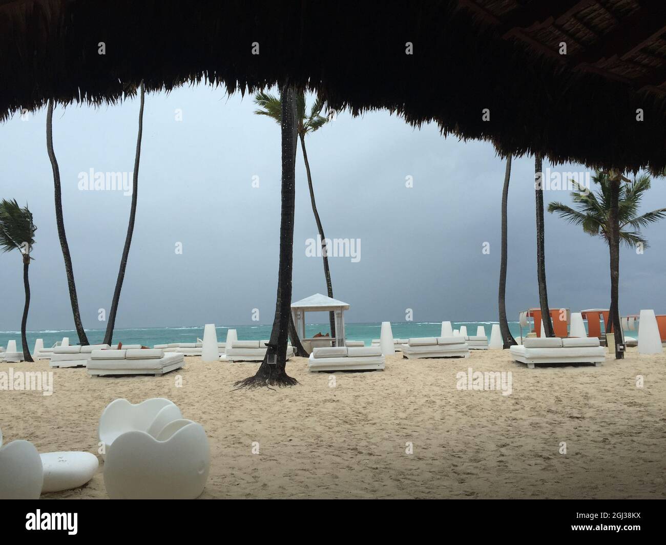 Palm trees and lounge seating hi-res stock photography and images - Alamy