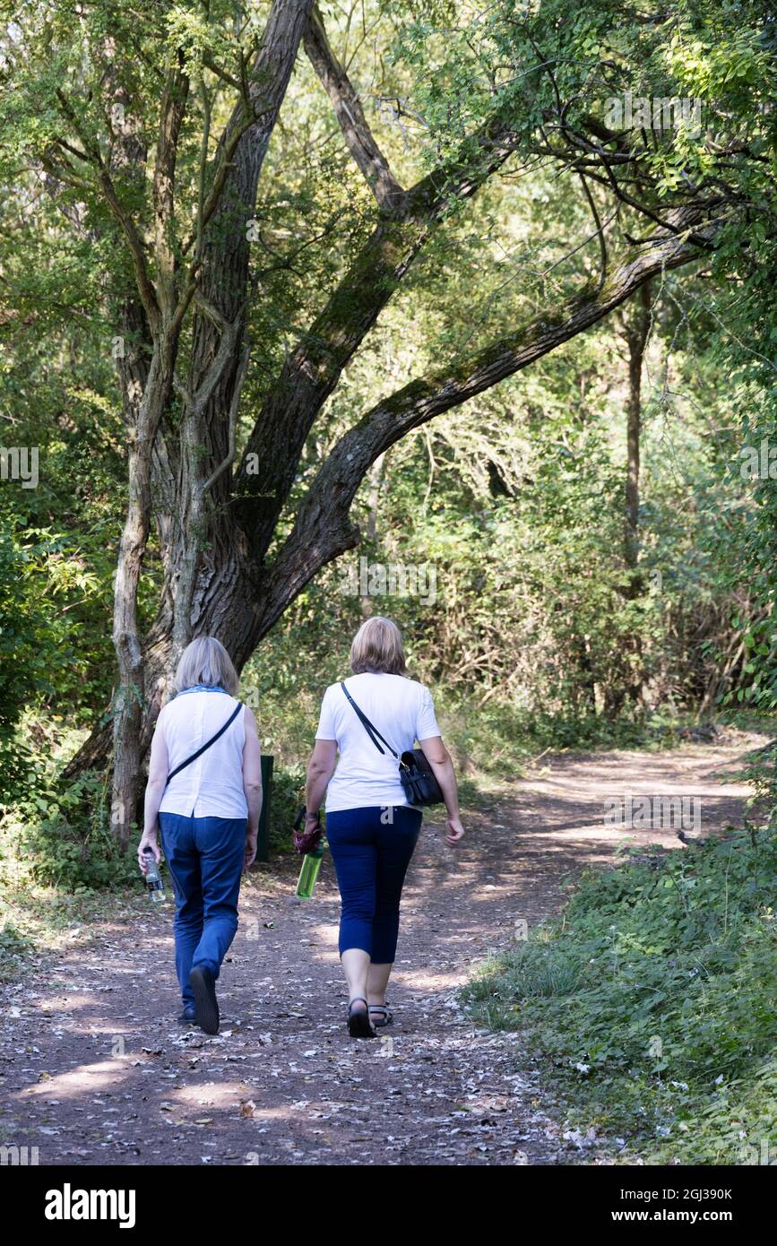 Outdoor exercise; Two caucasian middle aged aged 50s women walking on a path through the woods in summer, seen from the rear, Suffolk UK Stock Photo