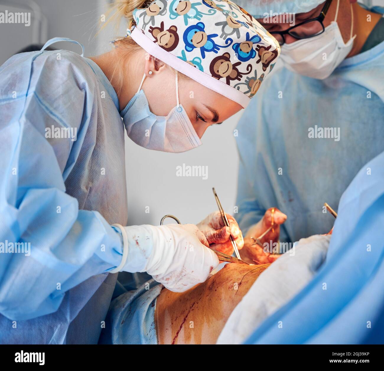 Doctors performing abdominoplasty surgery in modern clinic. Plastic
