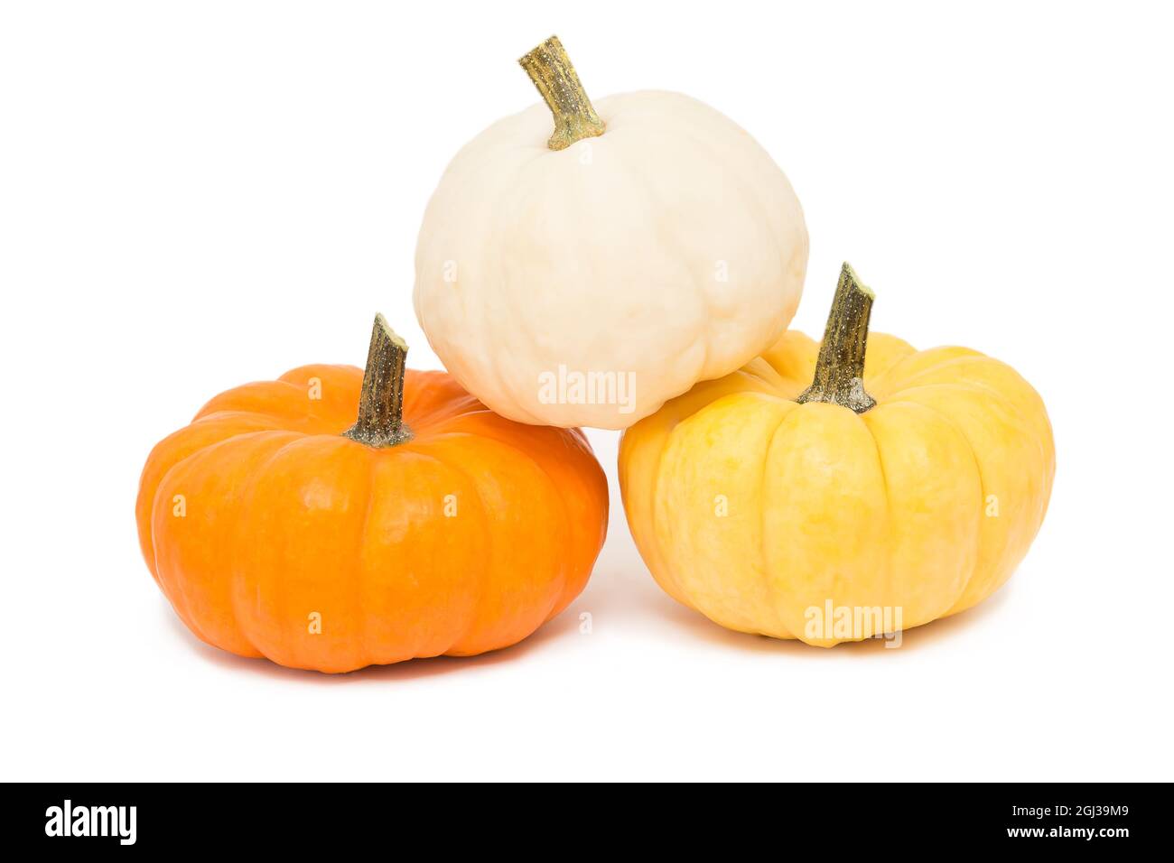 three decorative pumpkins isolated on white background Stock Photo