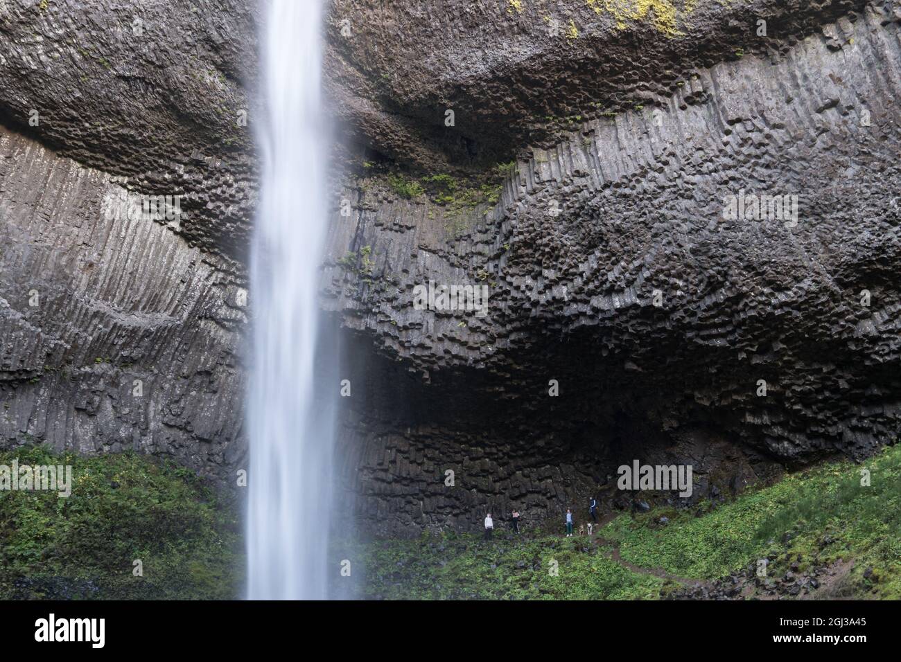 Colonnade in basalt flow of the Grande Ronde Basalt of the Columbia