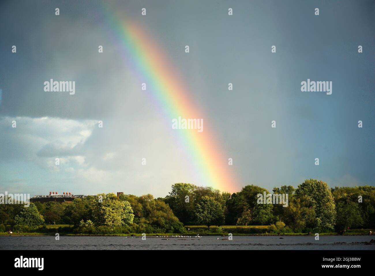 A rainbow in partially cloudy sky with green trees in the background Stock Photo