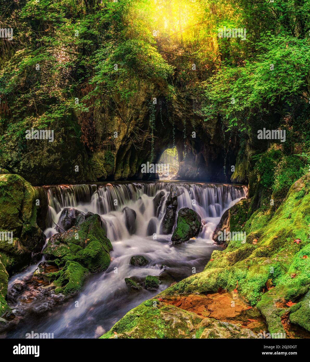 Beautiful shot of a waterfall in the forest Stock Photo - Alamy