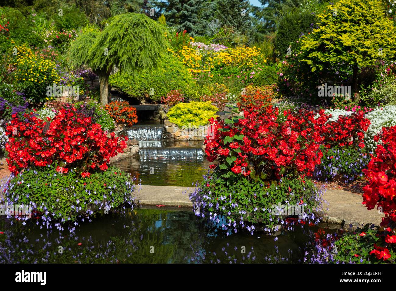 flowers and waterfall in a garden in holland Stock Photo