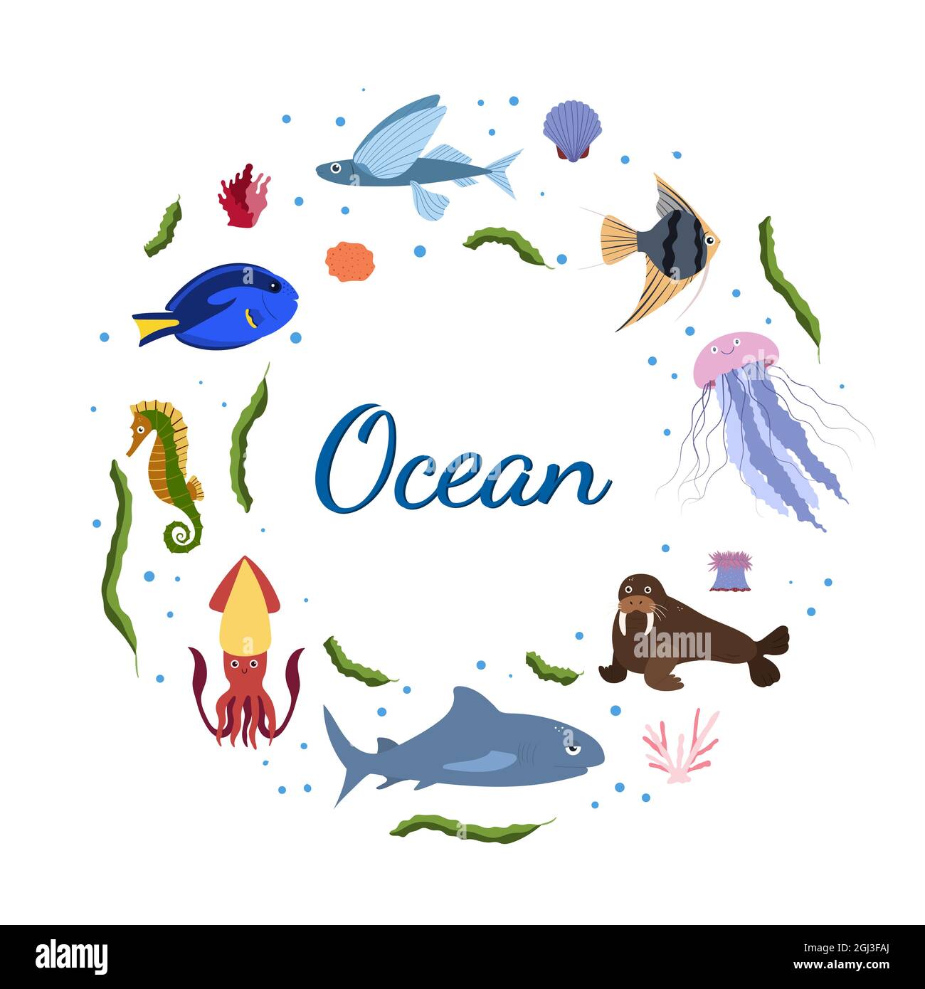 Sea Animals Template Sea Animals Template