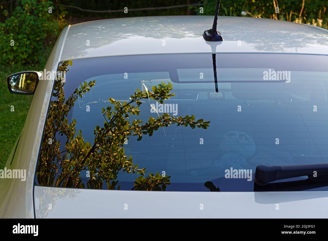 Reflection of tree branches and blue sky on the rear window of the car Stock Photo Alamy
