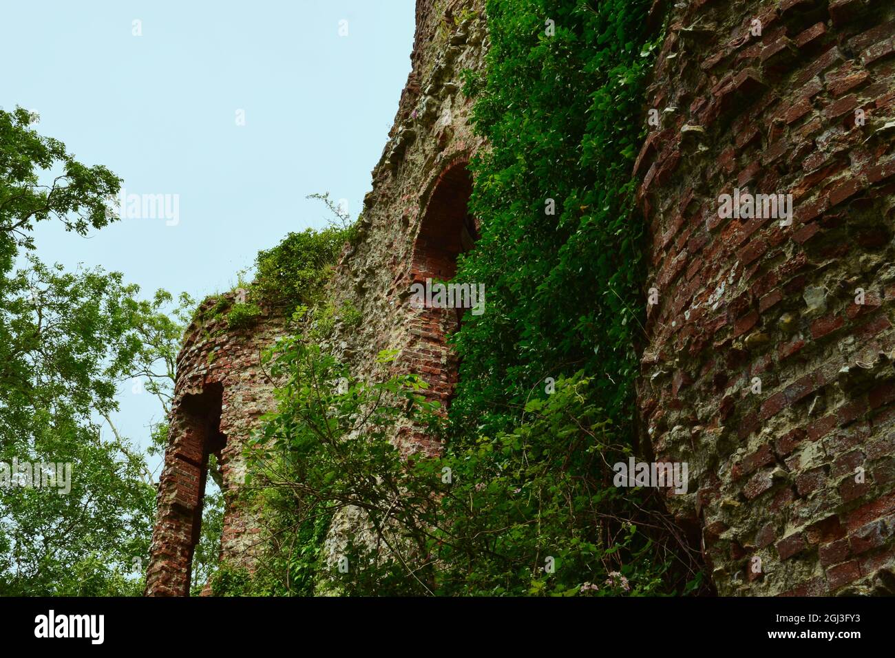 Picture of an Old Folly that has been left abandoned and has foliage growing over the walls. Stock Photo