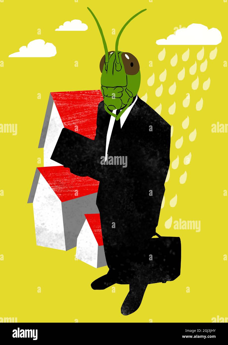 Real locusts hires stock photography and images Alamy