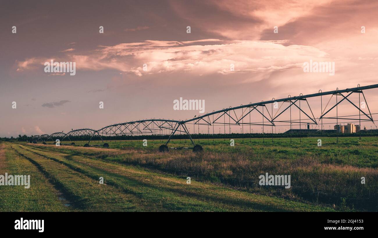 Farmland in Homestead Florida Stock Photo Alamy