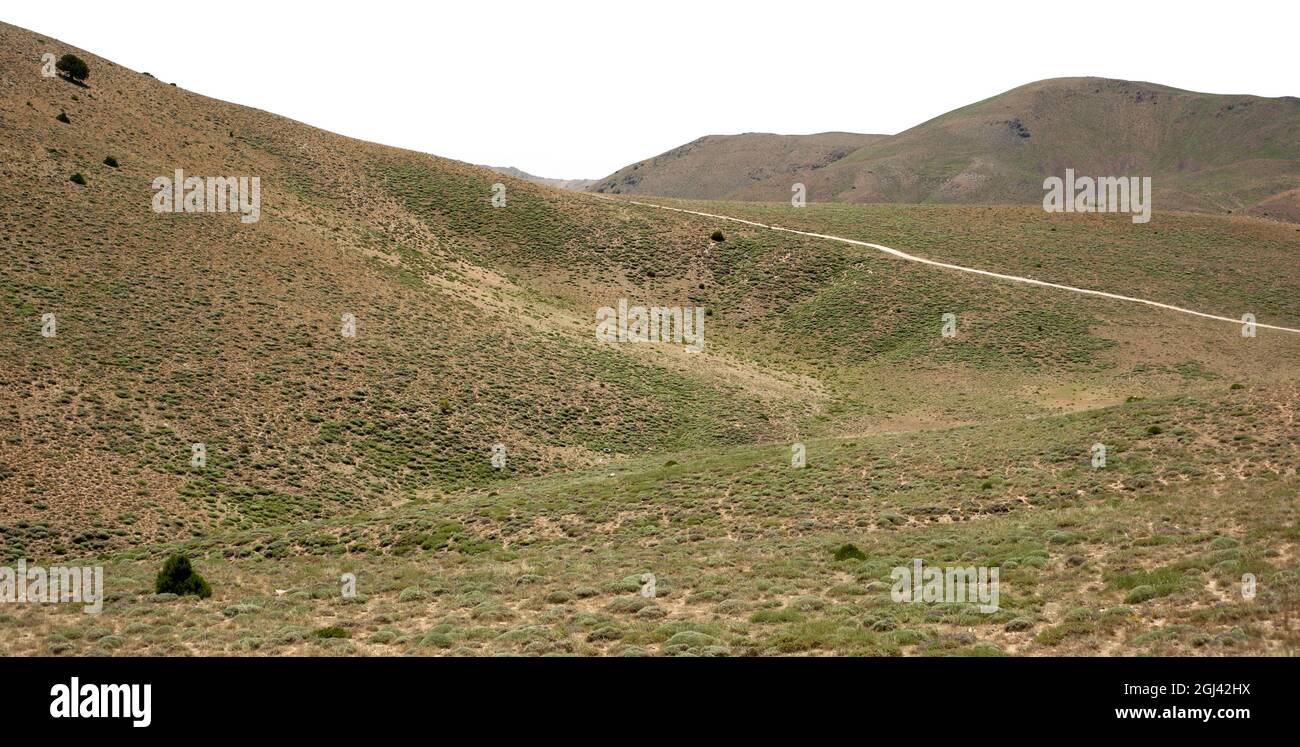 Mountains with foliage or plants isolated on white background, Mountains of mazandaran province, Iran Stock Photo
